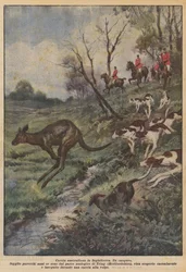 Australische jacht in Engeland